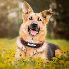 Charger l&#39;image dans la galerie, Bold Collar
