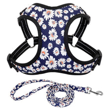 Load image into Gallery viewer, Flower Nylon Harness And Leash
