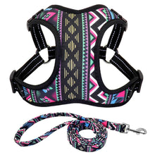 Load image into Gallery viewer, Flower Nylon Harness And Leash
