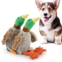 Load image into Gallery viewer, Duck Squeak Dog Rope Toy
