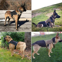 Charger l&#39;image dans la galerie, AntiPullsta-Tug Free Dog Harness
