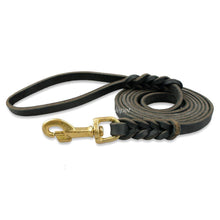 Load image into Gallery viewer, Leather Braided Dog Leash
