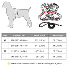 Load image into Gallery viewer, Flower Nylon Harness And Leash
