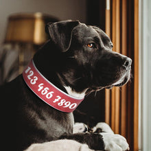 Load image into Gallery viewer, Personalized Large Wide Leather Custom Print Dog Collar
