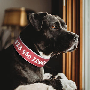 Personalized Large Wide Leather Custom Print Dog Collar
