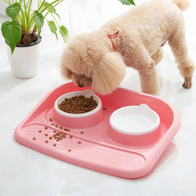Load image into Gallery viewer, Double Bowl Plastic Feeder

