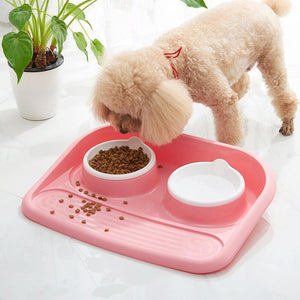 Double Bowl Plastic Feeder
