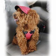 Charger l&#39;image dans la galerie, Basic Colorful Dog Sun Protection Baseball Cap

