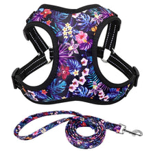 Load image into Gallery viewer, Flower Nylon Harness And Leash

