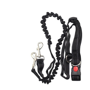 Adjustable Hands Free Leash