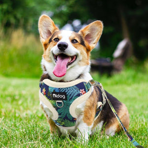 Soft Padded Forest Harness and Bag Set
