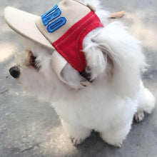 Load image into Gallery viewer, Dog Gorro Perro Hat
