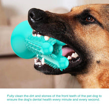 Load image into Gallery viewer, Dog Molar Cleaning Toothbrush
