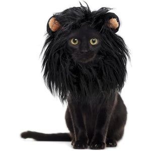 Cute Cat Lion Mane Hat Costume