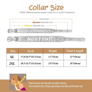 Personalized Large Wide Leather Custom Print Dog Collar