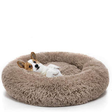 Load image into Gallery viewer, Doughnut Cuddle Cushion

