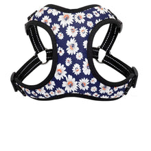 Load image into Gallery viewer, Flower Nylon Harness And Leash
