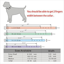 Charger l&#39;image dans la galerie, Blingaling Personalized Collar
