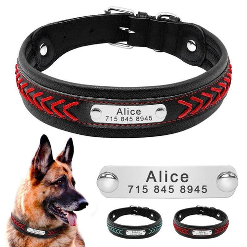 Bold Collar