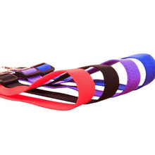 Load image into Gallery viewer, Harness Seatbelt Leash
