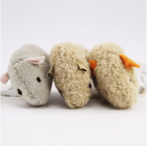 3 PCS Interactive Cat Toy