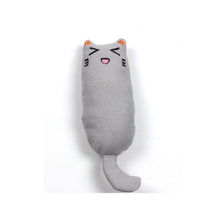 Load image into Gallery viewer, Catnip Plush Toys
