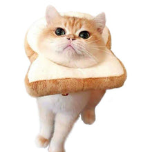Load image into Gallery viewer, Cat Toasted Head Costume
