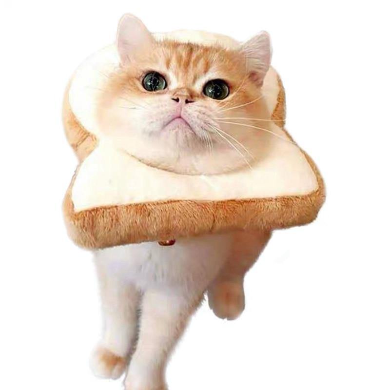 Cat Toasted Head Costume
