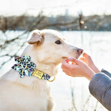 Load image into Gallery viewer, Personalized Artful Bow Collar
