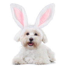 Load image into Gallery viewer, Dog Bunny Ears Easter Puppy Costume
