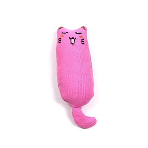Catnip Plush Toys