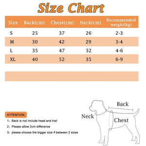 Halloween Dog Pumpkin Comfy Sweatshirt