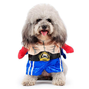 Funny Dog Boxer Costume