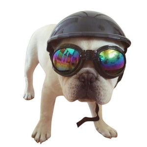 Cool Dog Motorcycle Fashion Plastic Hat Helmet