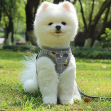 Load image into Gallery viewer, Bun Puppy Harness and Leash
