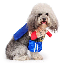 Load image into Gallery viewer, Funny Dog Boxer Costume
