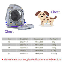 Load image into Gallery viewer, Bun Puppy Harness and Leash
