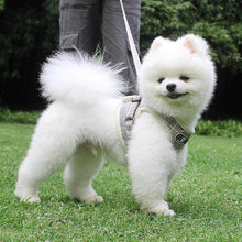 Load image into Gallery viewer, Bun Puppy Harness and Leash
