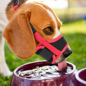 Mesh Nylon Dog Anti-Biting Training Muzzle