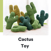 Load image into Gallery viewer, Cactus Catnip Cat Toy Pet Plush Chew Teeth Toy

