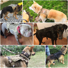 Charger l&#39;image dans la galerie, AntiPullsta-Tug Free Dog Harness
