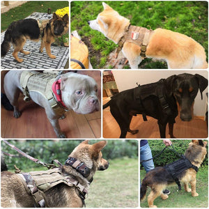 AntiPullsta-Tug Free Dog Harness