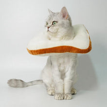 Load image into Gallery viewer, Cat Toasted Head Costume
