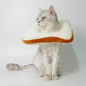 Cat Toasted Head Costume