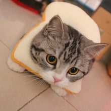 Load image into Gallery viewer, Cat Toasted Head Costume
