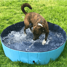 Load image into Gallery viewer, Foldable Pet Collapsible Swimming Pool
